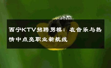 西宁KTV招聘男模：在音乐与热情中点亮职业新航线 
