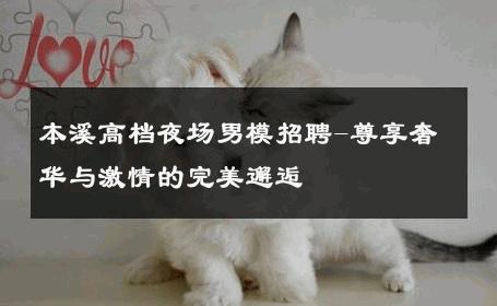 本溪高档夜场男模招聘-尊享奢华与激情的完美邂逅 