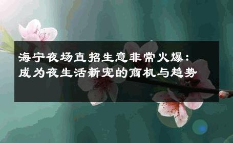 海宁夜场直招生意非常火爆：成为夜生活新宠的商机与趋势 