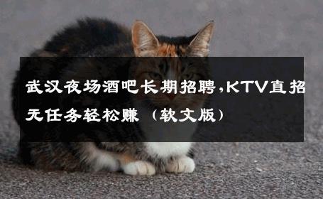 武汉夜场酒吧长期招聘,KTV直招无任务轻松赚（软文版） 