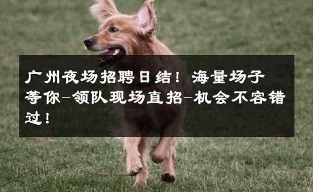 广州夜场招聘日结！海量场子等你-领队现场直招-机会不容错过！ 