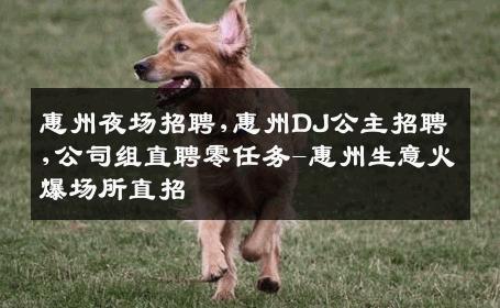 惠州夜场招聘,惠州DJ公主招聘,公司组直聘零任务-惠州生意火爆场所直招