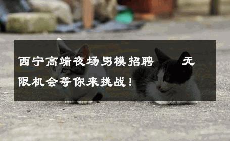 西宁高端夜场男模招聘——无限机会等你来挑战！ 