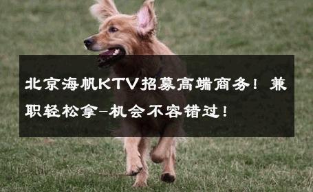北京海帆KTV招募高端商务！兼职轻松拿-机会不容错过！ 
