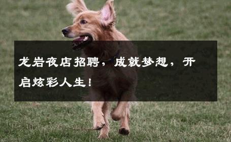龙岩夜店招聘，成就梦想，开启炫彩人生！