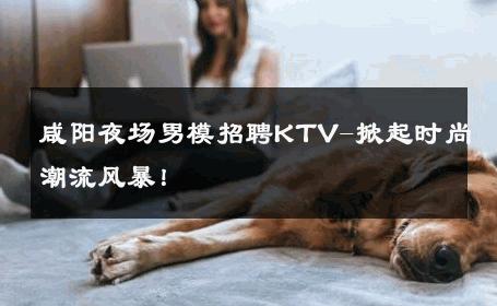 咸阳夜场男模招聘KTV-掀起时尚潮流风暴！ 
