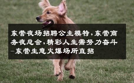 东营夜场招聘公主模特,东营商务夜总会,精彩人生需努力奋斗-东营生意火爆场所直招