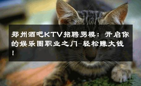 郑州酒吧KTV招聘男模：开启你的娱乐圈职业之门-轻松赚大钱！ 