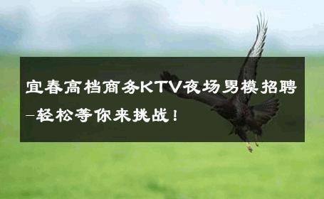 宜春高档商务KTV夜场男模招聘-轻松等你来挑战！ 