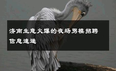 济南生意火爆的夜场男模招聘信息速递 