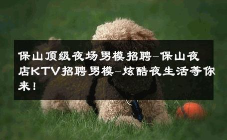 保山顶级夜场男模招聘-保山夜店KTV招聘男模-炫酷夜生活等你来！ 