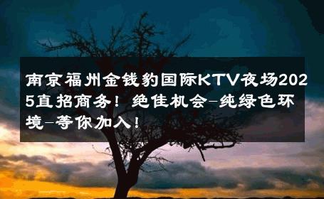 南京福州金钱豹国际KTV夜场2025直招商务！绝佳机会-纯绿色环境-等你加入！ 