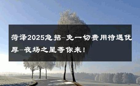 菏泽2025急招-免一切费用待遇优厚-夜场之星等你来！ 