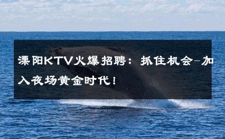 溧阳KTV火爆招聘：抓住机会-加入夜场黄金时代！ 