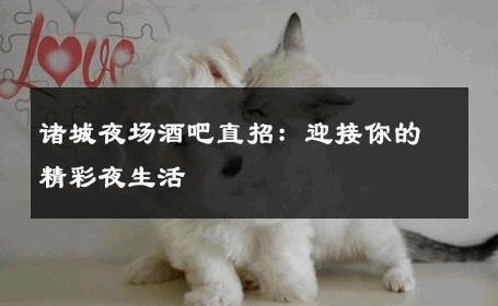 诸城夜场酒吧直招：迎接你的精彩夜生活 