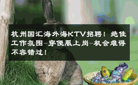 杭州国汇海外海KTV招聘！绝佳工作氛围-穿便服上岗-机会难得不容错过！ 