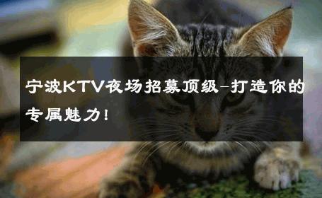 宁波KTV夜场招募顶级-打造你的专属魅力！ 