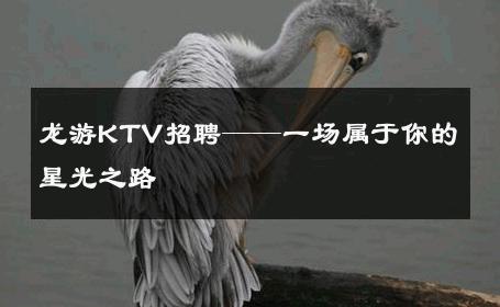 龙游KTV招聘——一场属于你的星光之路 