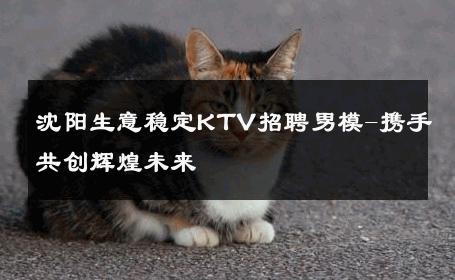 沈阳生意稳定KTV招聘男模-携手共创辉煌未来 