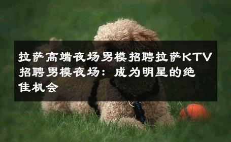 拉萨高端夜场男模招聘拉萨KTV招聘男模夜场：成为明星的绝佳机会 