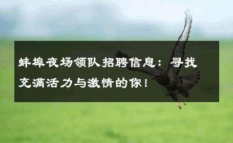 蚌埠夜场领队招聘信息：寻找充满活力与激情的你！ 