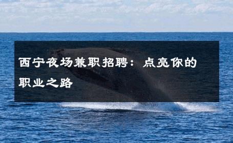 西宁夜场兼职招聘：点亮你的职业之路 