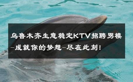 乌鲁木齐生意稳定KTV招聘男模-成就你的梦想-尽在此刻！ 