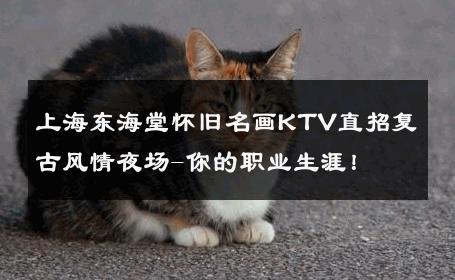 上海东海堂怀旧名画KTV直招复古风情夜场-你的职业生涯！ 
