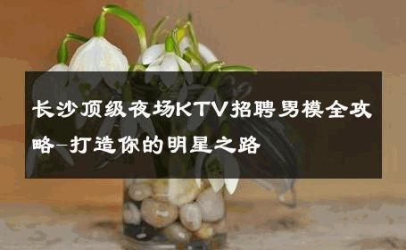 长沙顶级夜场KTV招聘男模全攻略-打造你的明星之路 