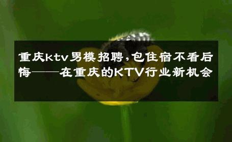 重庆ktv男模招聘,包住宿不看后悔——在重庆的KTV行业新机会 