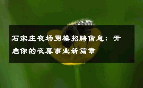 石家庄夜场男模招聘信息：开启你的夜幕事业新篇章 