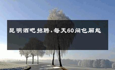 昆明酒吧招聘,每天60间包厢起 