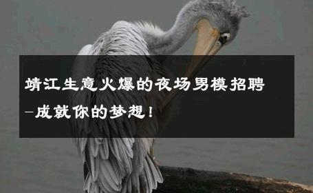 靖江生意火爆的夜场男模招聘-成就你的梦想！ 
