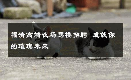 福清高端夜场男模招聘-成就你的璀璨未来 