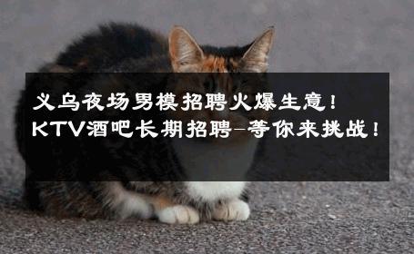 义乌夜场男模招聘火爆生意！KTV酒吧长期招聘-等你来挑战！ 