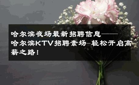 哈尔滨夜场最新招聘信息——哈尔滨KTV招聘素场-轻松开启高薪之路！ 