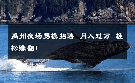 禹州夜场男模招聘-月入过万-轻松赚翻！ 