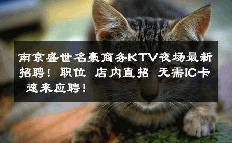 南京盛世名豪商务KTV夜场最新招聘！职位-店内直招-无需IC卡-速来应聘！ 