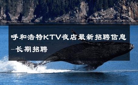呼和浩特KTV夜店最新招聘信息-长期招聘 
