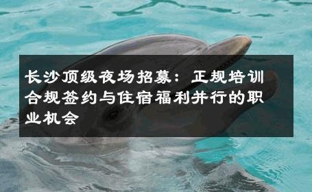 长沙顶级夜场招募：正规培训合规签约与住宿福利并行的职业机会 