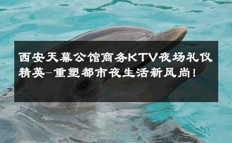 西安天幕公馆商务KTV夜场礼仪精英-重塑都市夜生活新风尚！ 