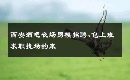 西安酒吧夜场男模招聘,包上班求职找场的来 