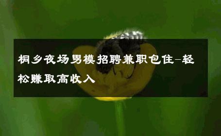 桐乡夜场男模招聘兼职包住-轻松赚取高收入 