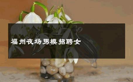 福州夜场男模招聘女 