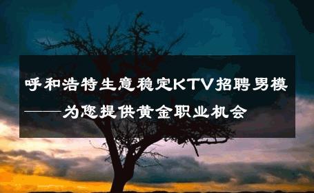 呼和浩特生意稳定KTV招聘男模——为您提供黄金职业机会 