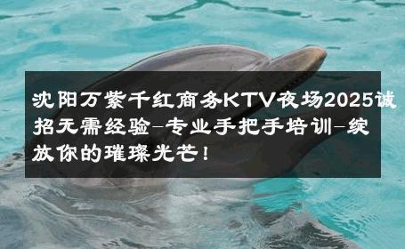 沈阳万紫千红商务KTV夜场2025诚招无需经验-专业手把手培训-绽放你的璀璨光芒！ 