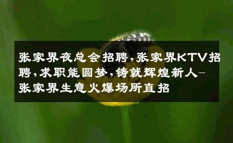 张家界夜总会招聘,张家界KTV招聘,求职能圆梦,铸就辉煌新人-张家界生意火爆场所直招