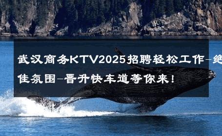 武汉商务KTV2025招聘轻松工作-绝佳氛围-晋升快车道等你来！ 