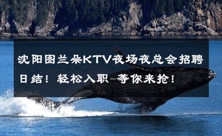 沈阳图兰朵KTV夜场夜总会招聘日结！轻松入职-等你来抢！ 