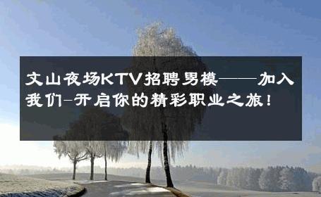文山夜场KTV招聘男模——加入我们-开启你的精彩职业之旅！ 